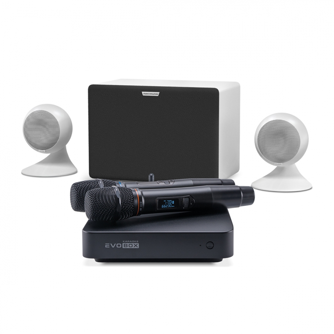 караоке-комплект EVOBOX Classic + EvoSound Sphere 2.1 в Сургуте