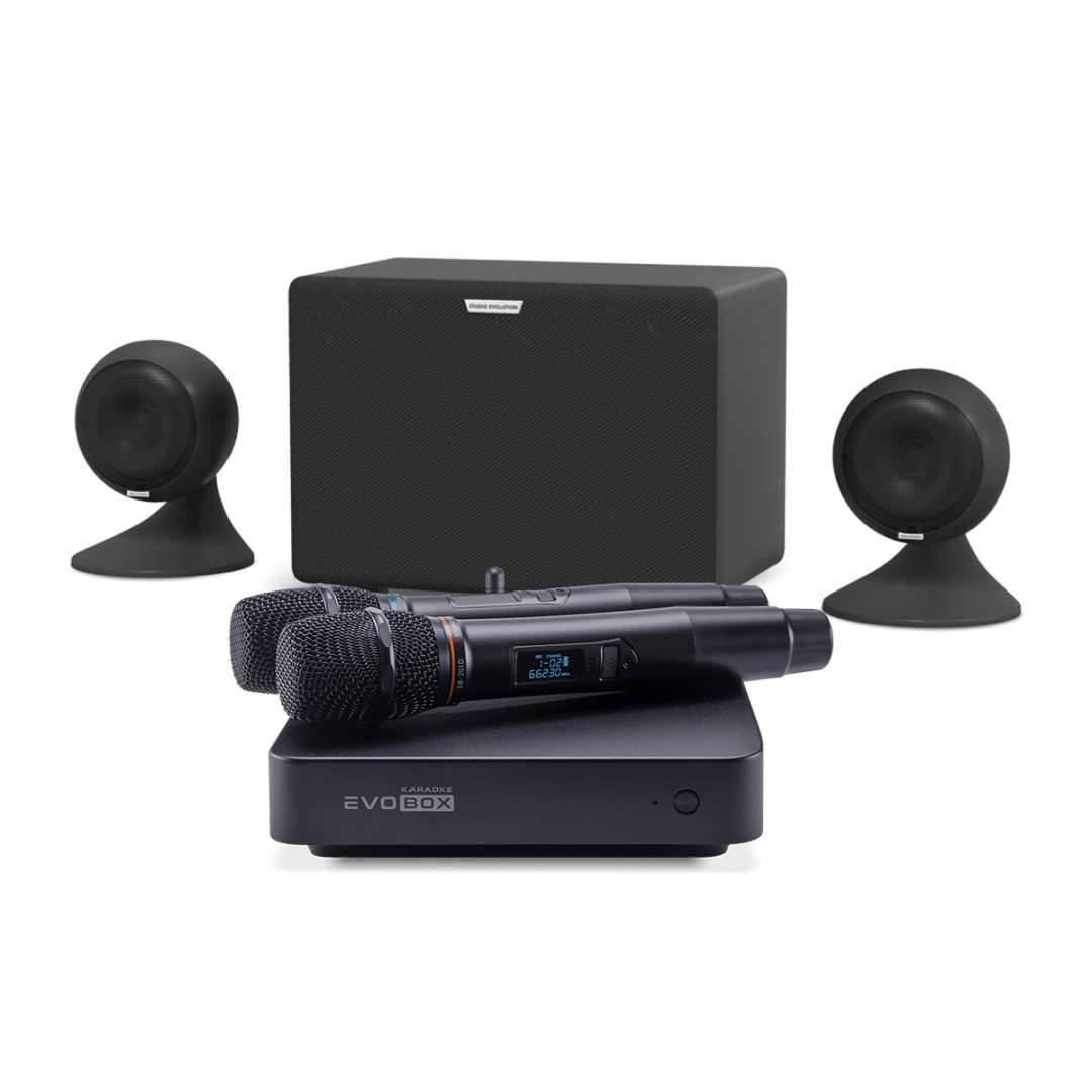 караоке-комплект EVOBOX Plus + EvoSound Sphere 2.1 в Сургуте