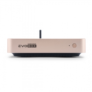 EVOBOX Plus караоке-система для дома в Сургуте