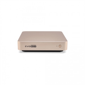EVOBOX с микрофонами в Сургуте